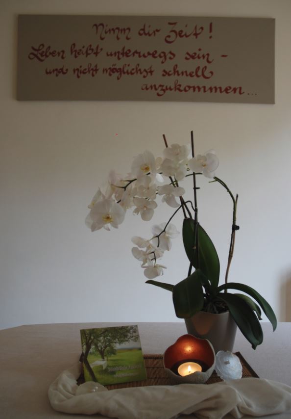 Orchidee-HP
